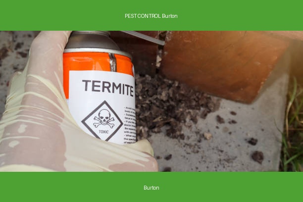 PEST CONTROL Burton